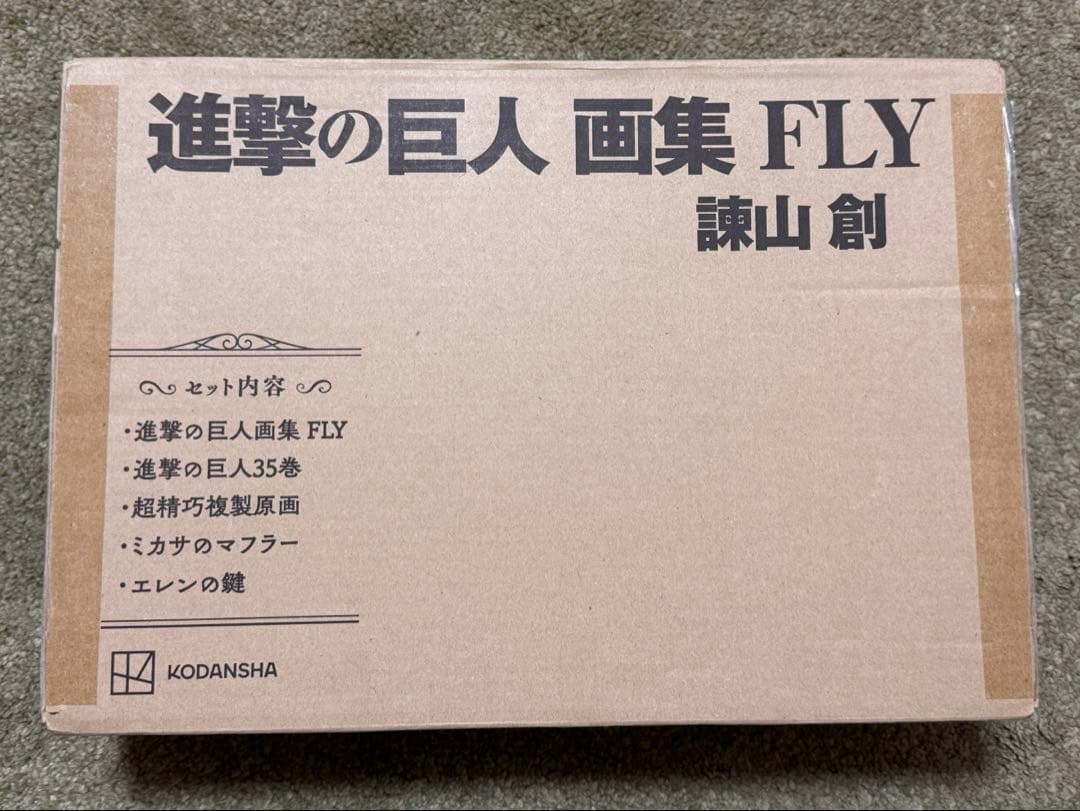 進撃の巨人 画集 FLY 欠品なし