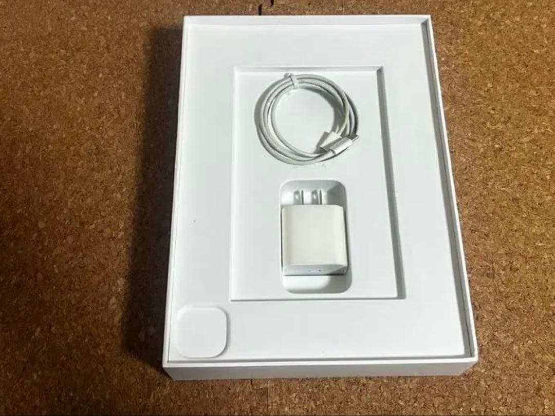 iPad Pro 11インチ シルバー Apple Pencil付き