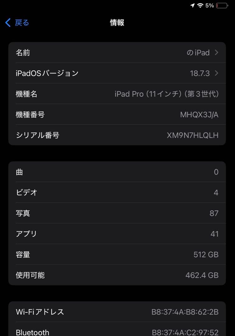 iPad Pro 11インチ シルバー Apple Pencil付き