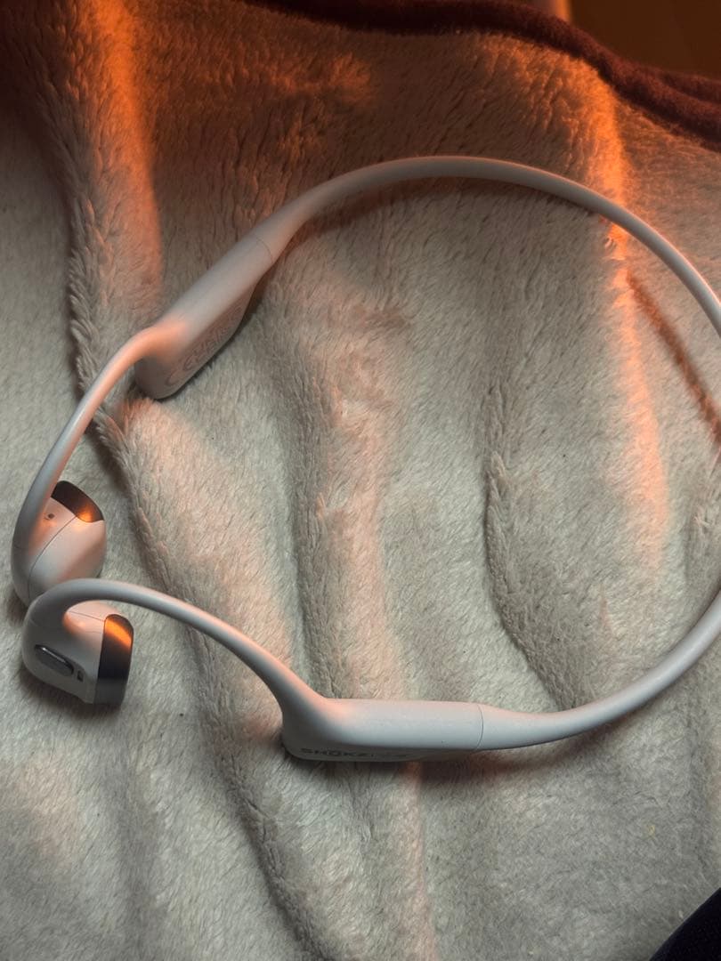 イヤホン shokz openrun pro 2