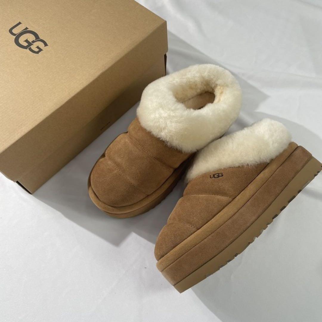 UGG タズリータ チェスナット 24cm US7 Tazzlita