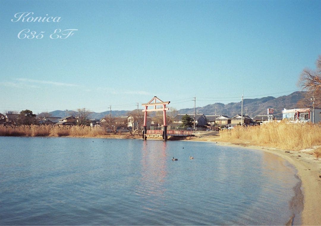 ★フィルム入門に！★コニカC35 EF★完動品＊美品＊保証付（作例見てね）