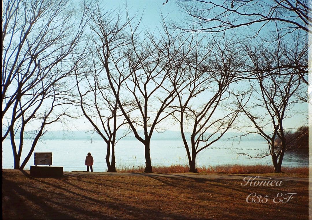 ★フィルム入門に！★コニカC35 EF★完動品＊美品＊保証付（作例見てね）