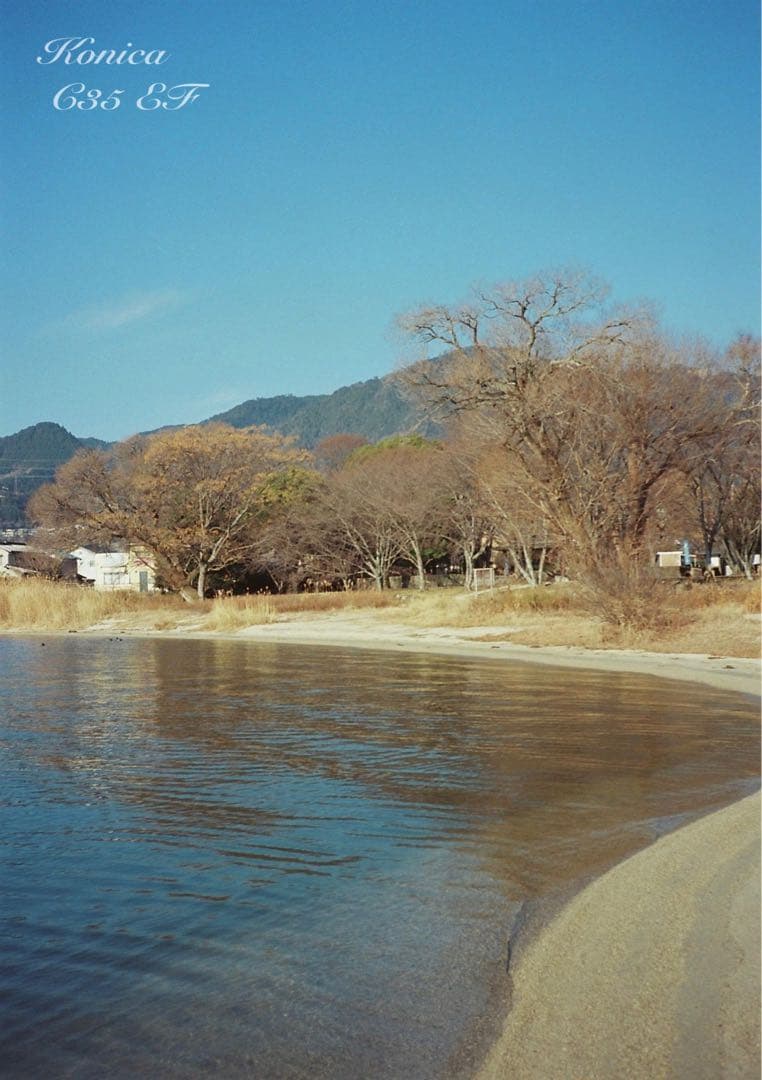 ★フィルム入門に！★コニカC35 EF★完動品＊美品＊保証付（作例見てね）