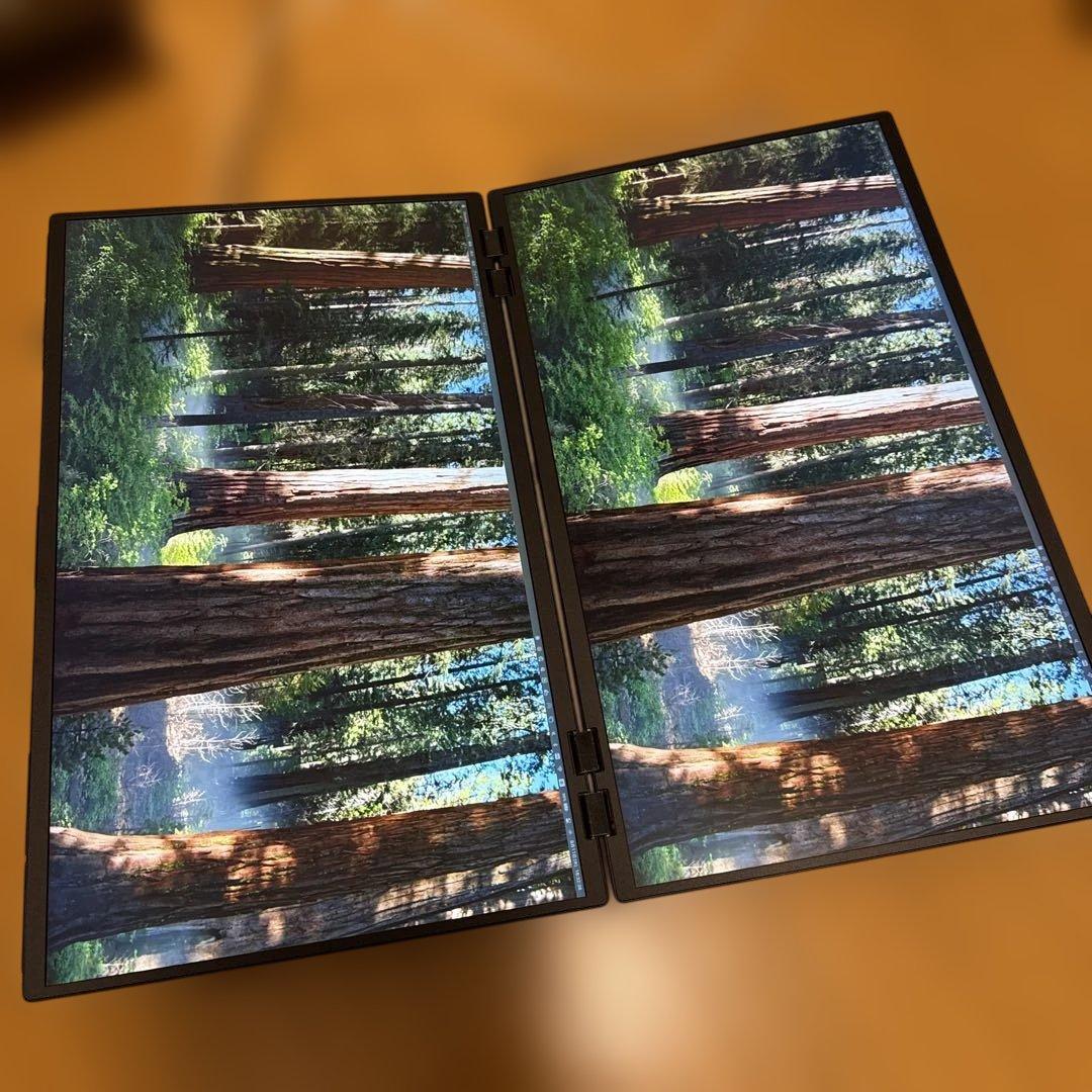 InnoView デュアルモバイルモニター 23.8インチ PM609-01B