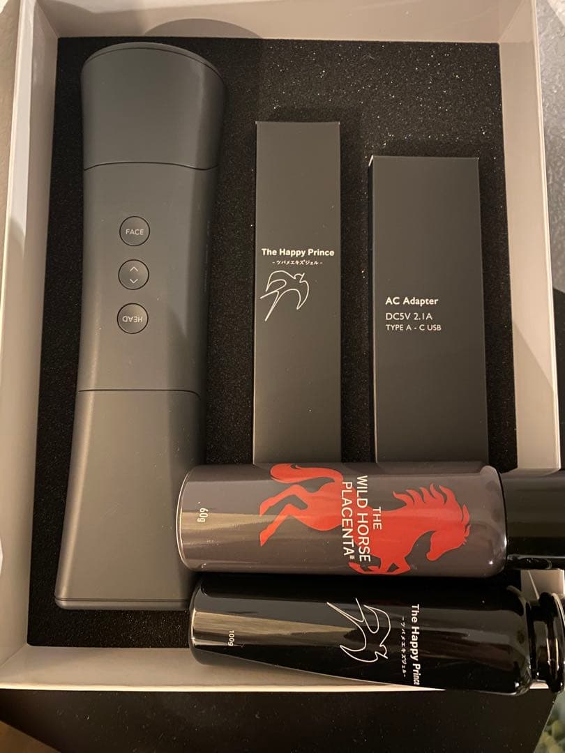 テラミースプラッシュパルス　2700 美顔器