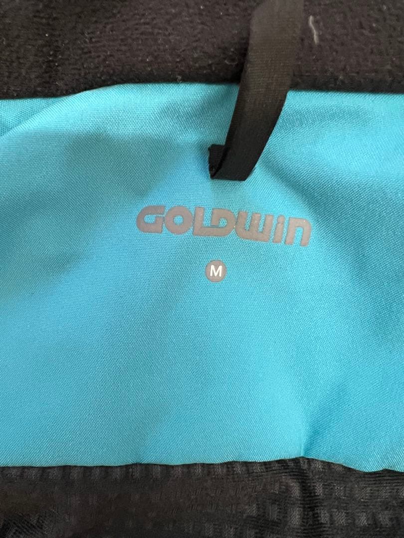 GOLDWIN スキーウェア 男性用