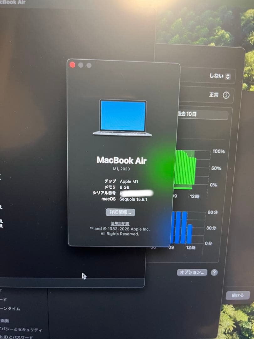 Apple MacBook Air M1 シルバー 本体