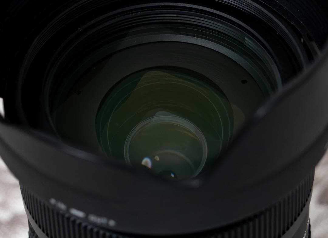 SIGMA 28-70mm F2.8 DG DN [ソニーE用]