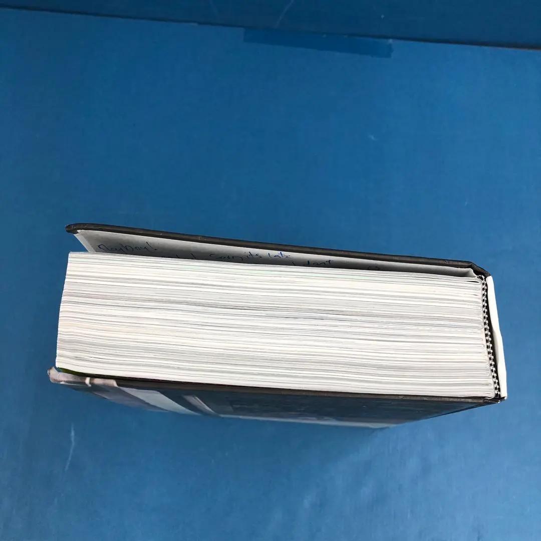 D2977 Beastie Boys Book ビースティボーイズ ブック洋書