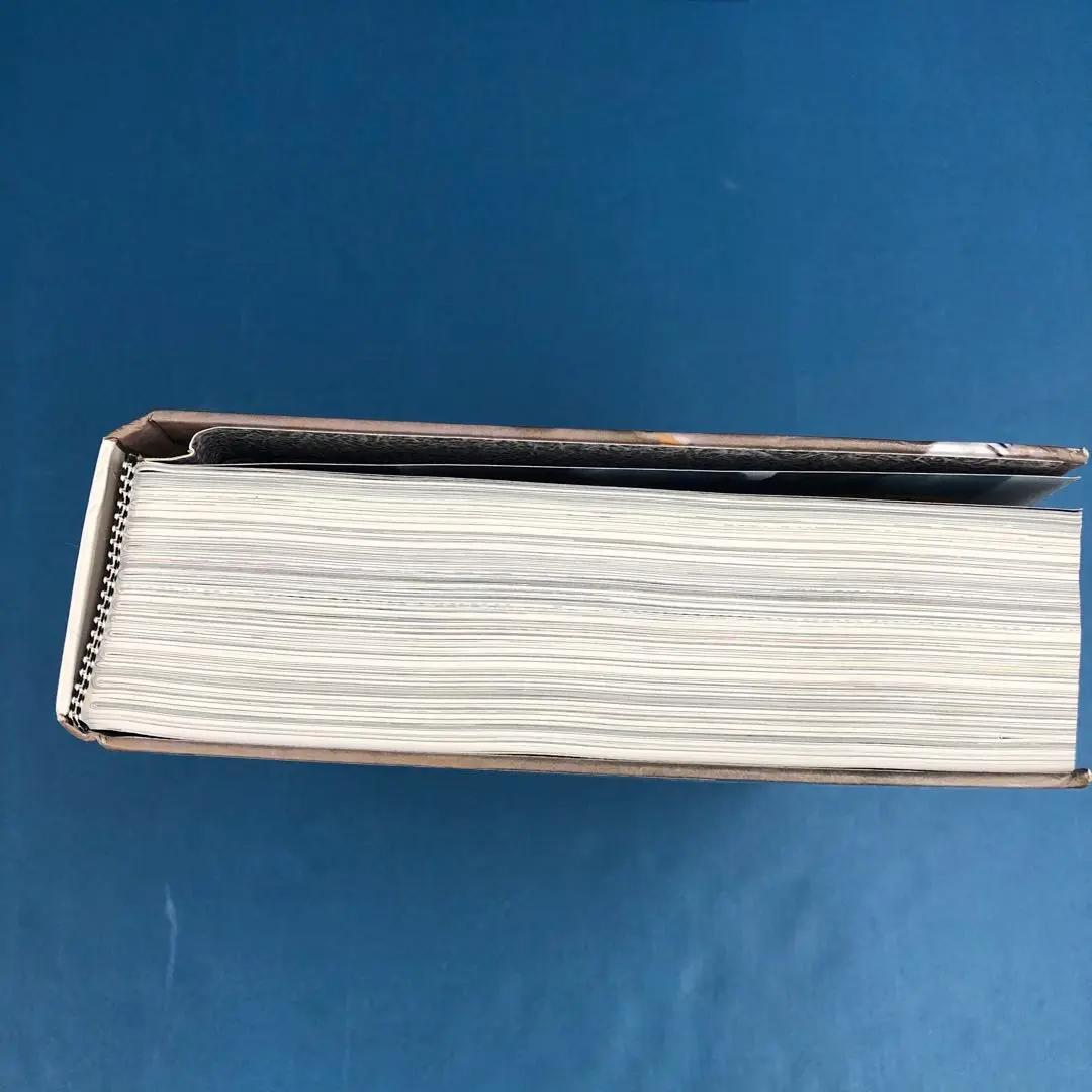 D2977 Beastie Boys Book ビースティボーイズ ブック洋書