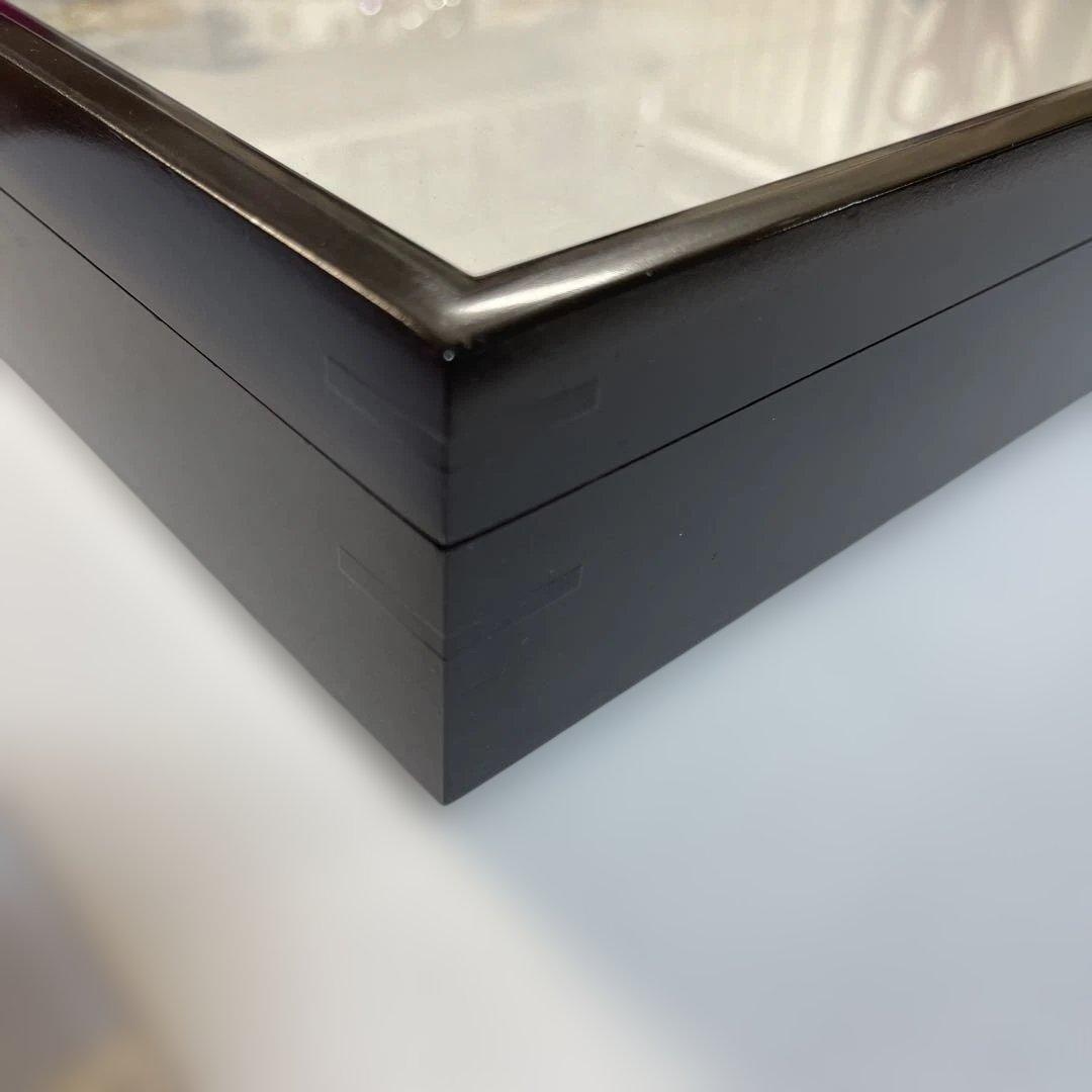 蝶標本箱　UV防止膜ドイツ箱