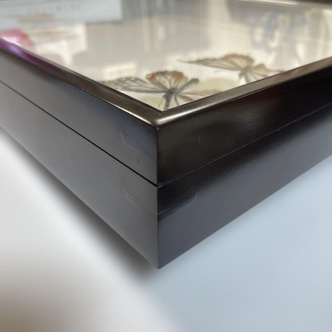 蝶標本箱　UV防止膜ドイツ箱