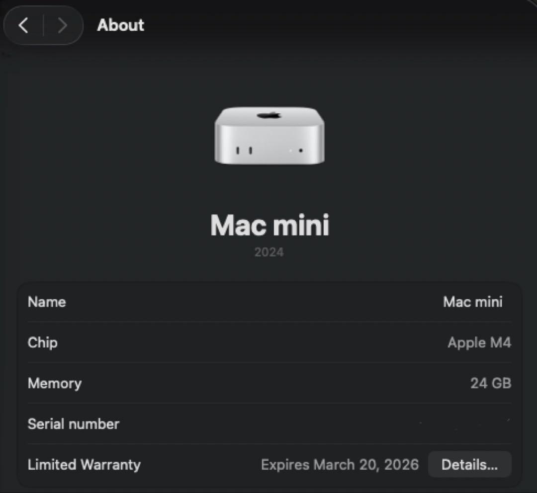 Apple Mac mini M4 24GB 512GB 10GbE 保証付