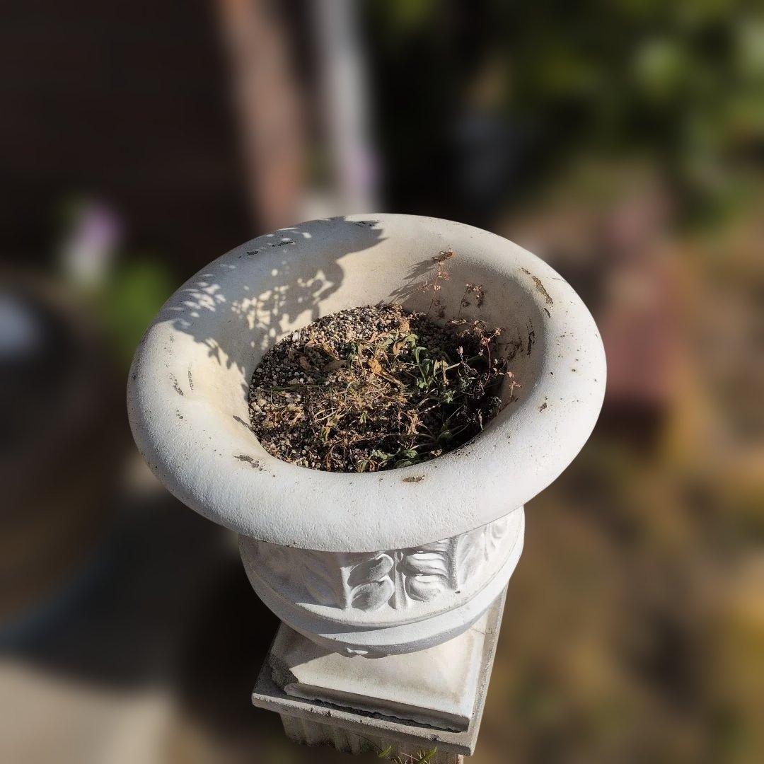 アイズピリホワイトセメント製装飾プランター