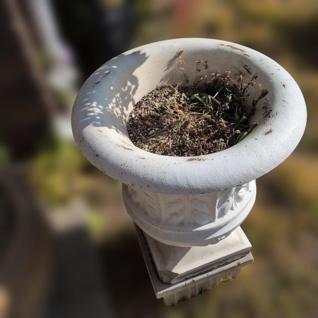 アイズピリホワイトセメント製装飾プランター