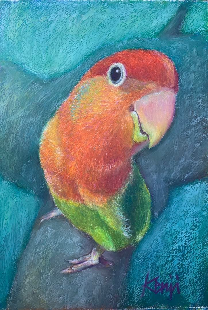 reiko　ペットイラスト