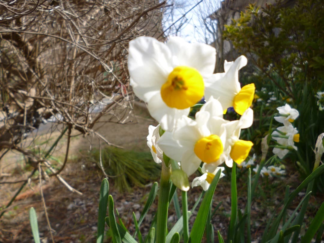 実写美⭕️【動作確認済】LUMIX DMC-FH5 デジカメ パープル