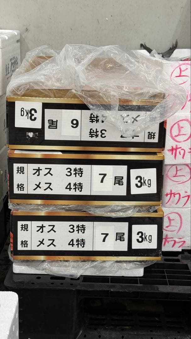 北海道産ボイルオオズワイガニ！特大！期間限定12／26まで！冷凍 3k6匹入り！