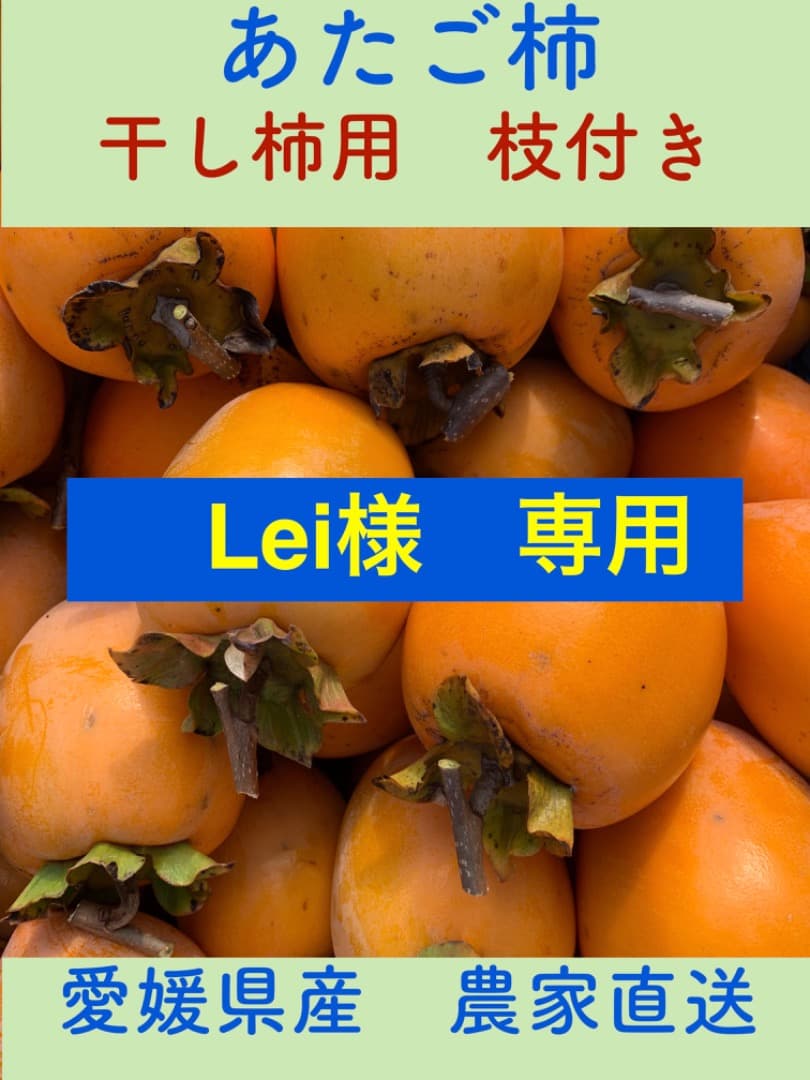 Lei　あたご柿　干し柿用（枝付き）大玉　２５kg　愛媛県産