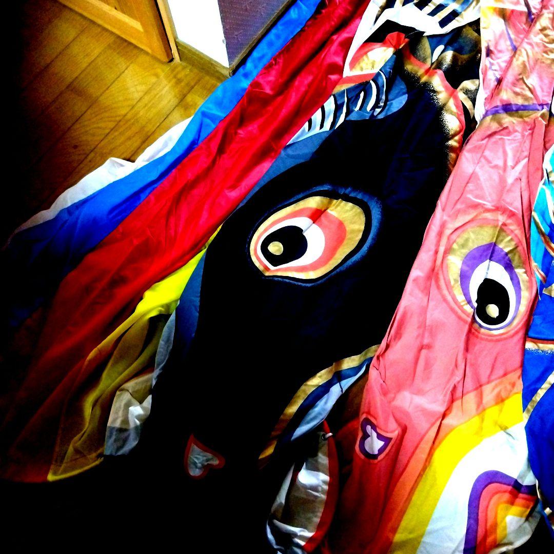 鯉のぼり デザイン 4色【５メートル】✖2セット