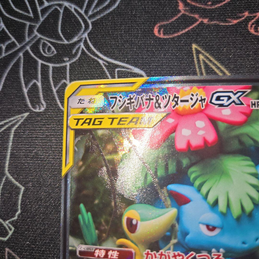 フシギバナ&ツタージャGX SR 066/064