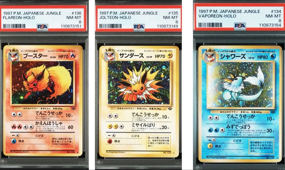 旧裏 ブイズ 3枚セット PSA8 早い者勝ち