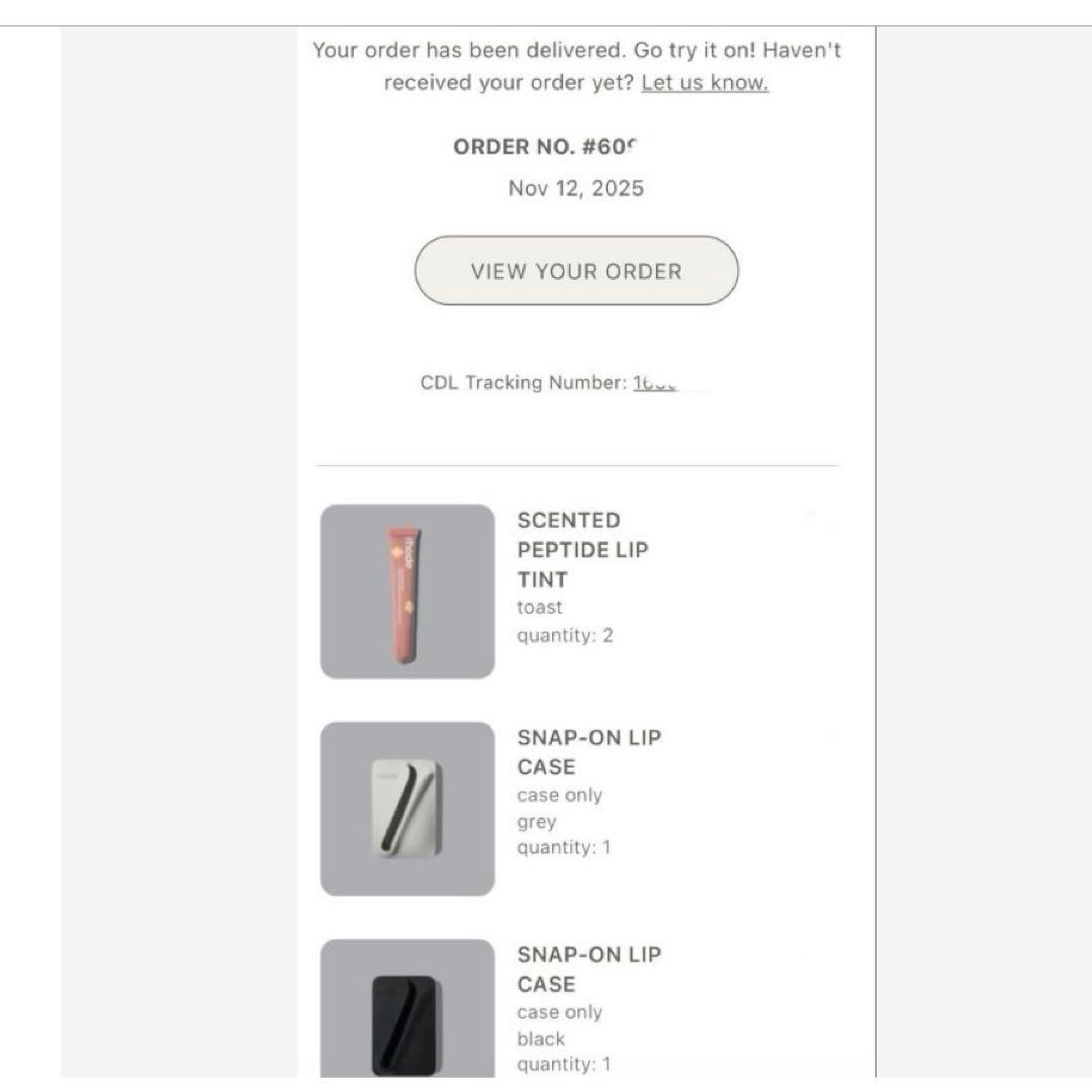 ラスト1点 RHODE スナップ オン リップ ケース (グレー)