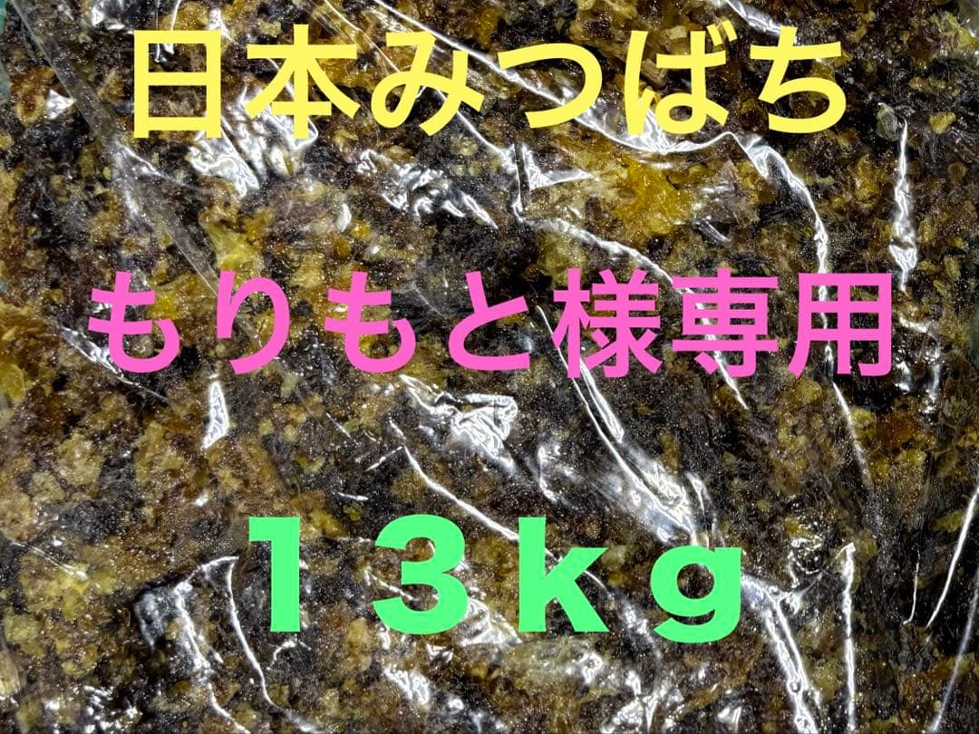 【もりもと】日本ミツバチの巣くず　13kg