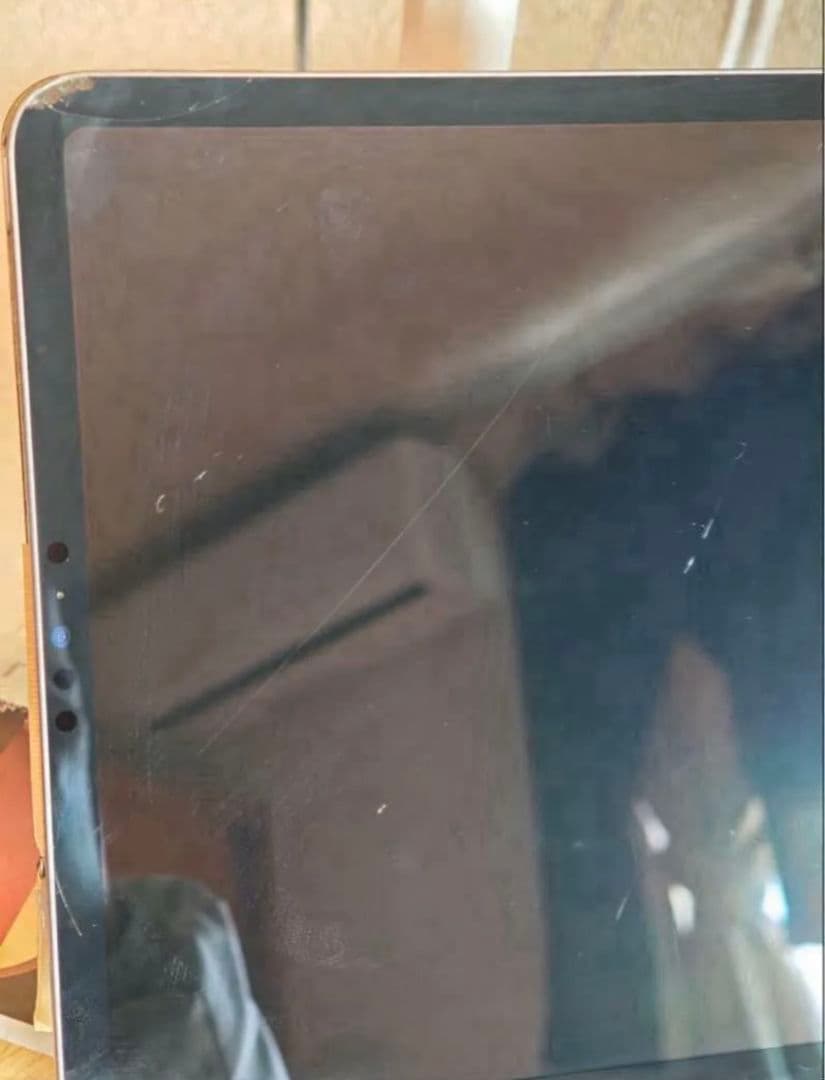 チ*ウ様 Apple iPad Pro 11インチ 第三世代 + Apple P