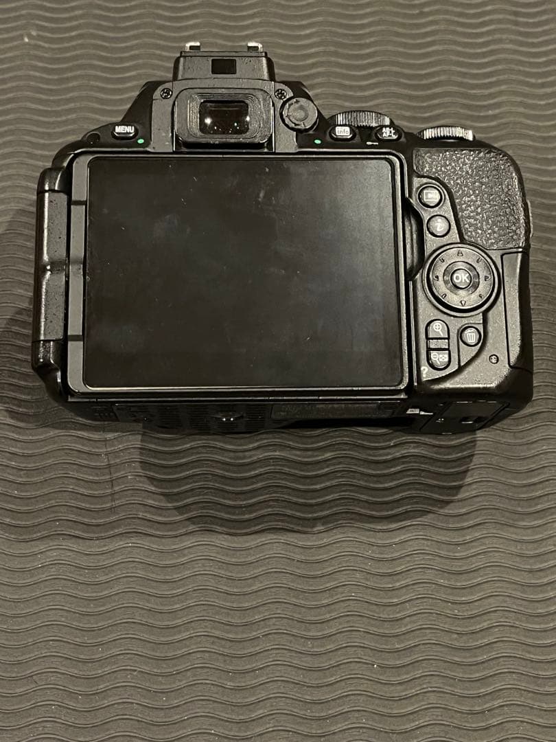 NIKON D5500 標準レンズ、広角レンズ付き