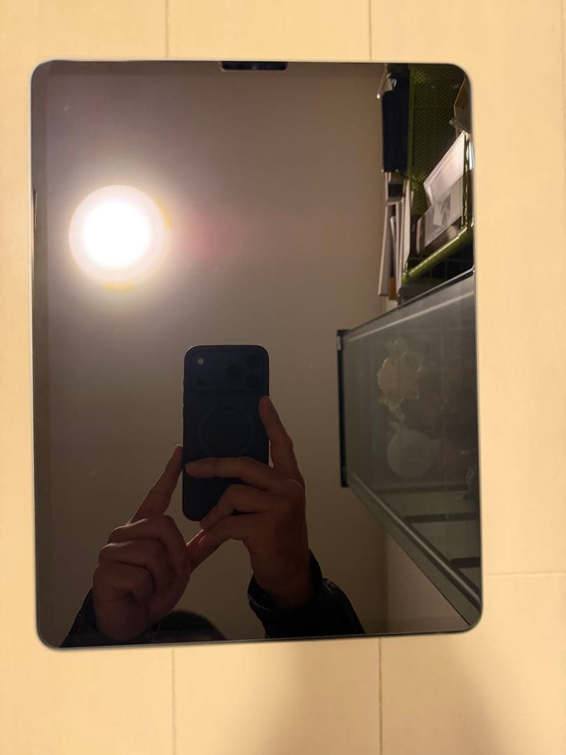 Apple iPad Pro 第6世代　256GB