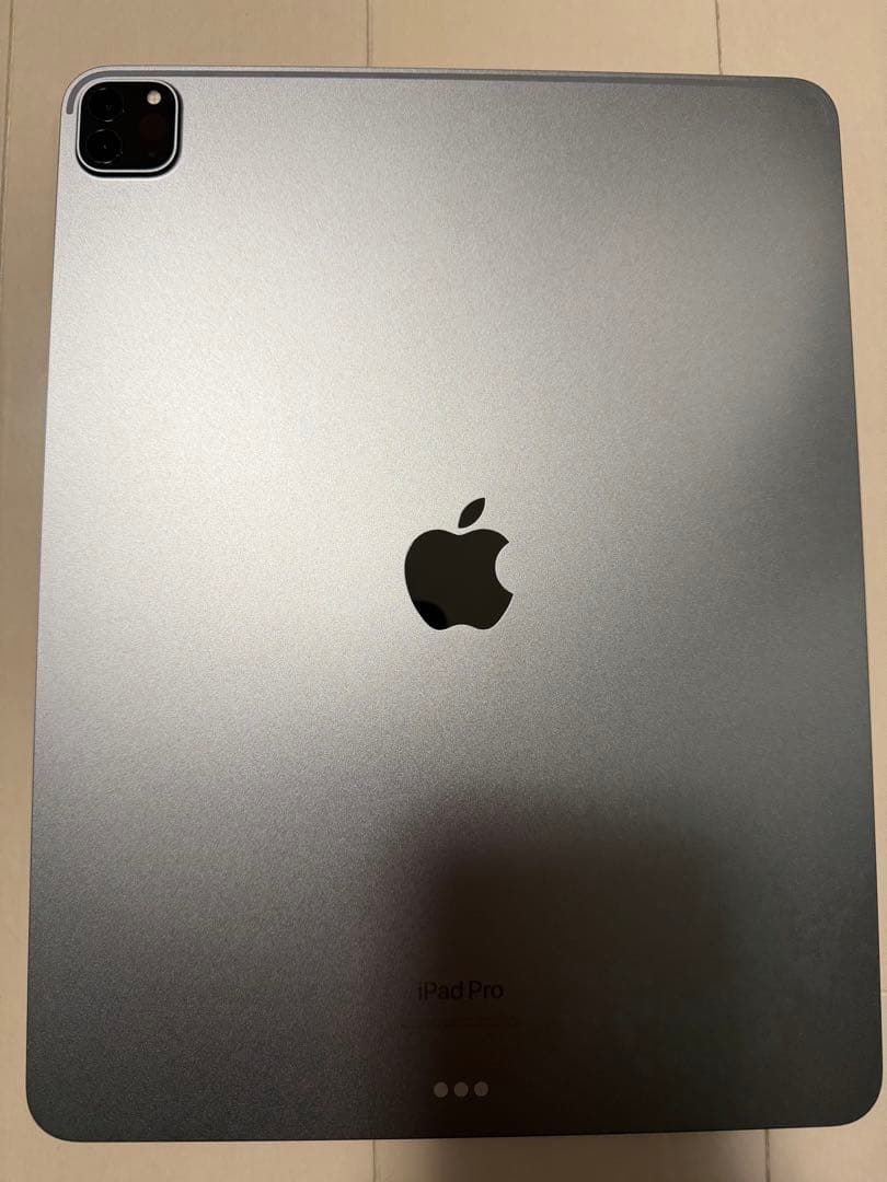 Apple iPad Pro 第6世代　256GB