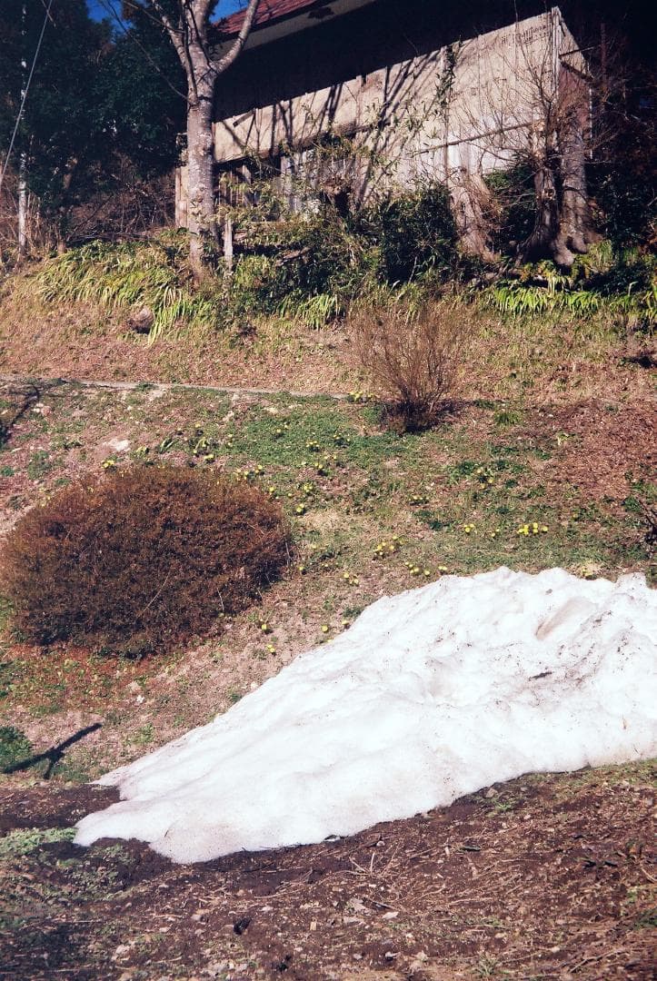 アグファ ジレッテ／カラーアグナー45mmf3.5革ケース付【実写確認済整備品】