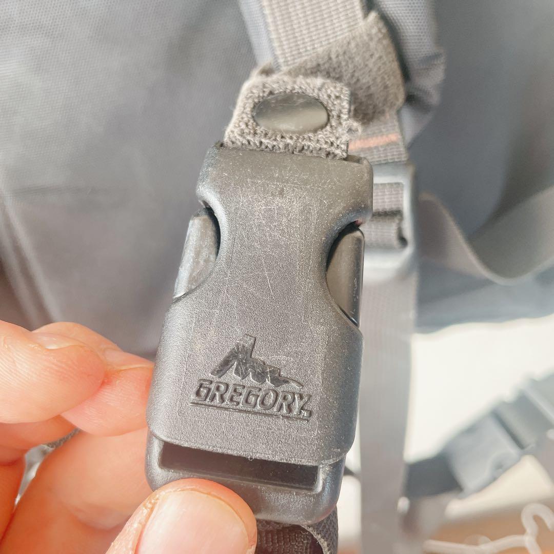 90s USA製 旧ロゴ GREGORY デイパック ブルータペストリー