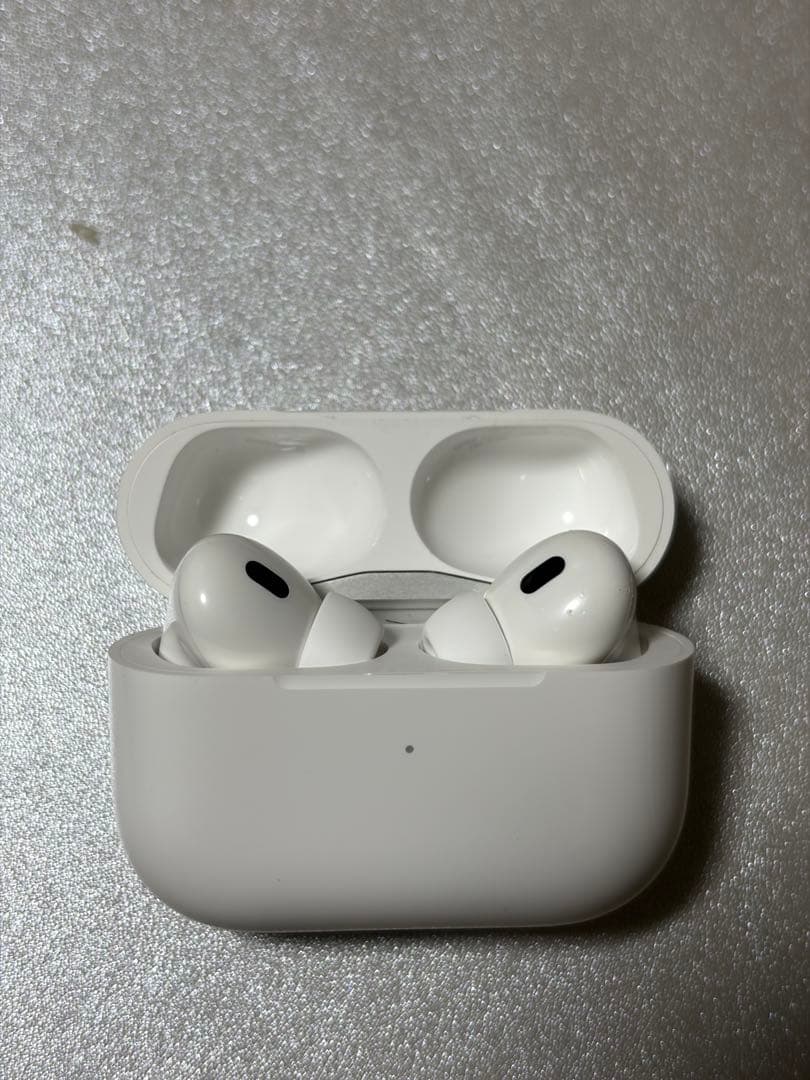 Apple AirPods Pro 本体　usb-c