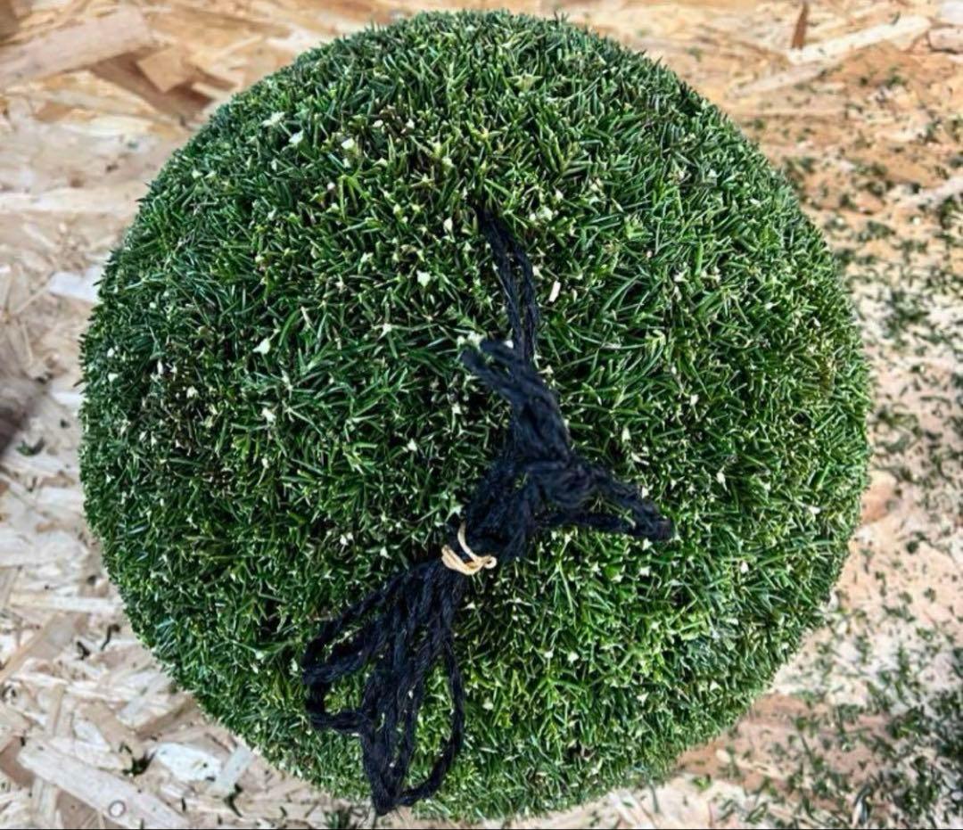 杉玉　約50センチ‼️１２月２０日以降の発送　ご希望　ワイヤーで　お客様ご注文品‼️