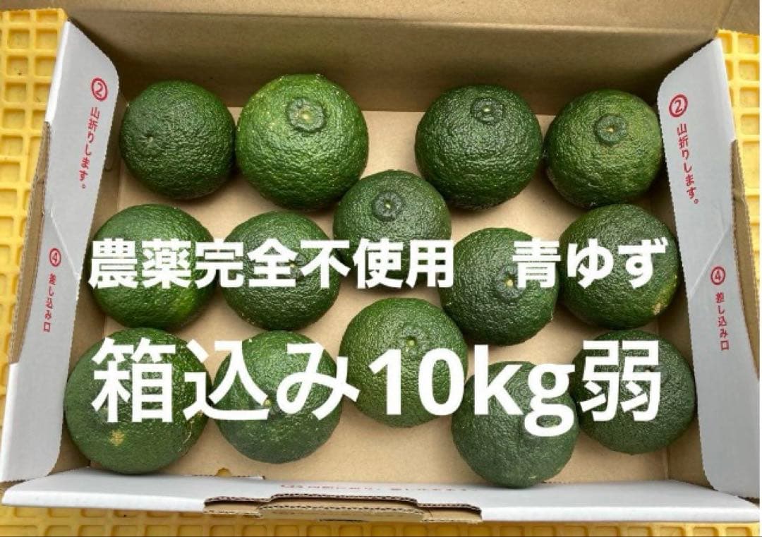 完全無農薬　青ゆず　青柚子　箱込み10kg弱