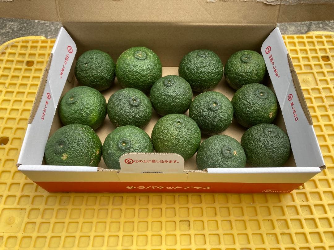 完全無農薬　青ゆず　青柚子　箱込み10kg弱