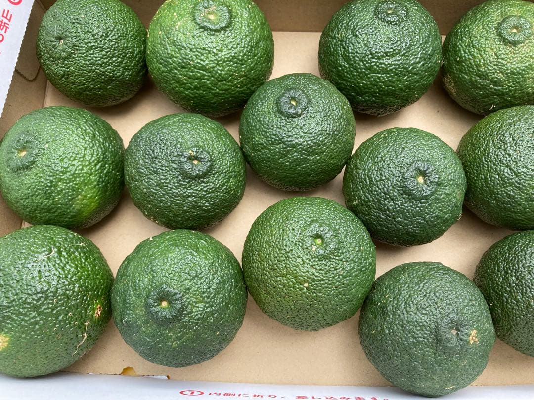 完全無農薬　青ゆず　青柚子　箱込み10kg弱