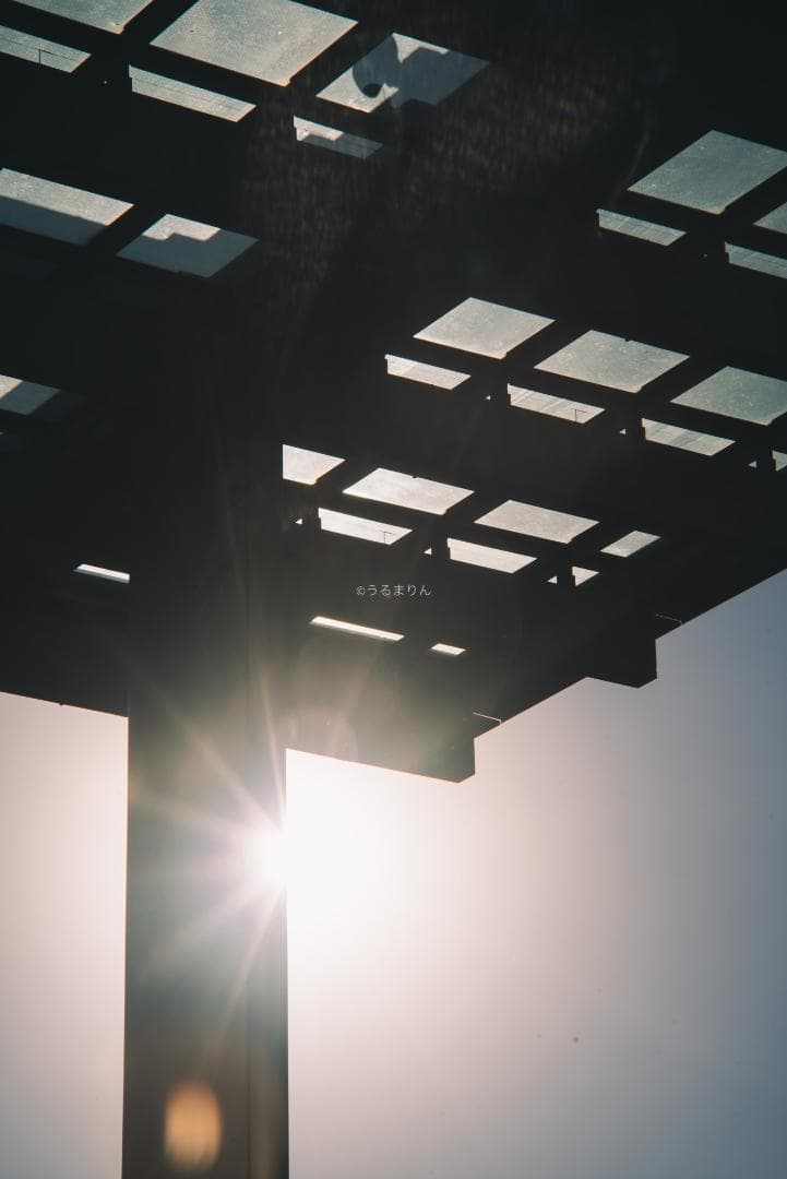 希少なPaxette M39アダプター付き！Tele-Ennalyt 135mm