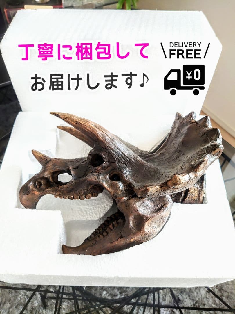 【DINOWORLD】トリケラトプス 頭骨レプリカ ※箱無し