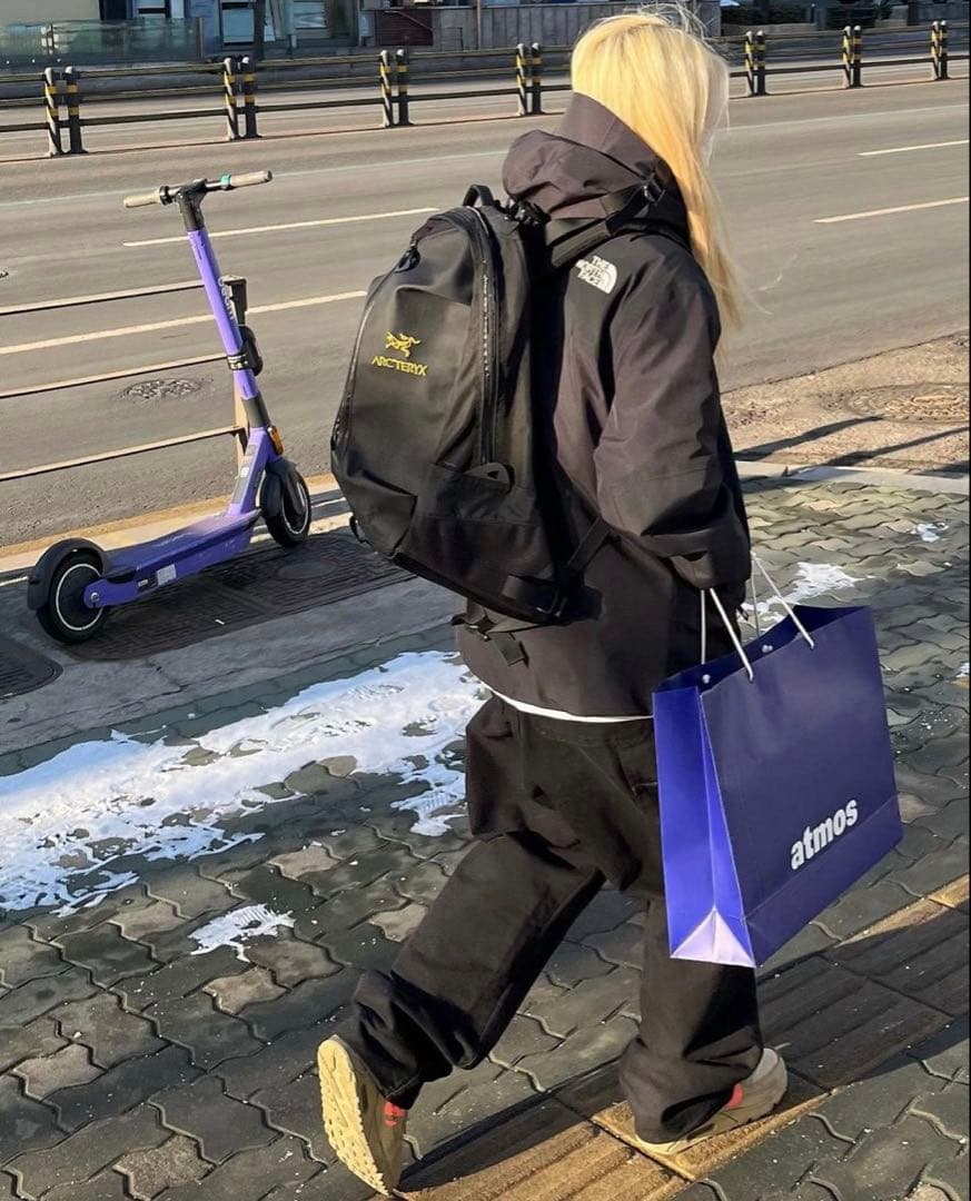 Arc’teryx ARRO16 バックパック リュック 金刺繍 廃盤