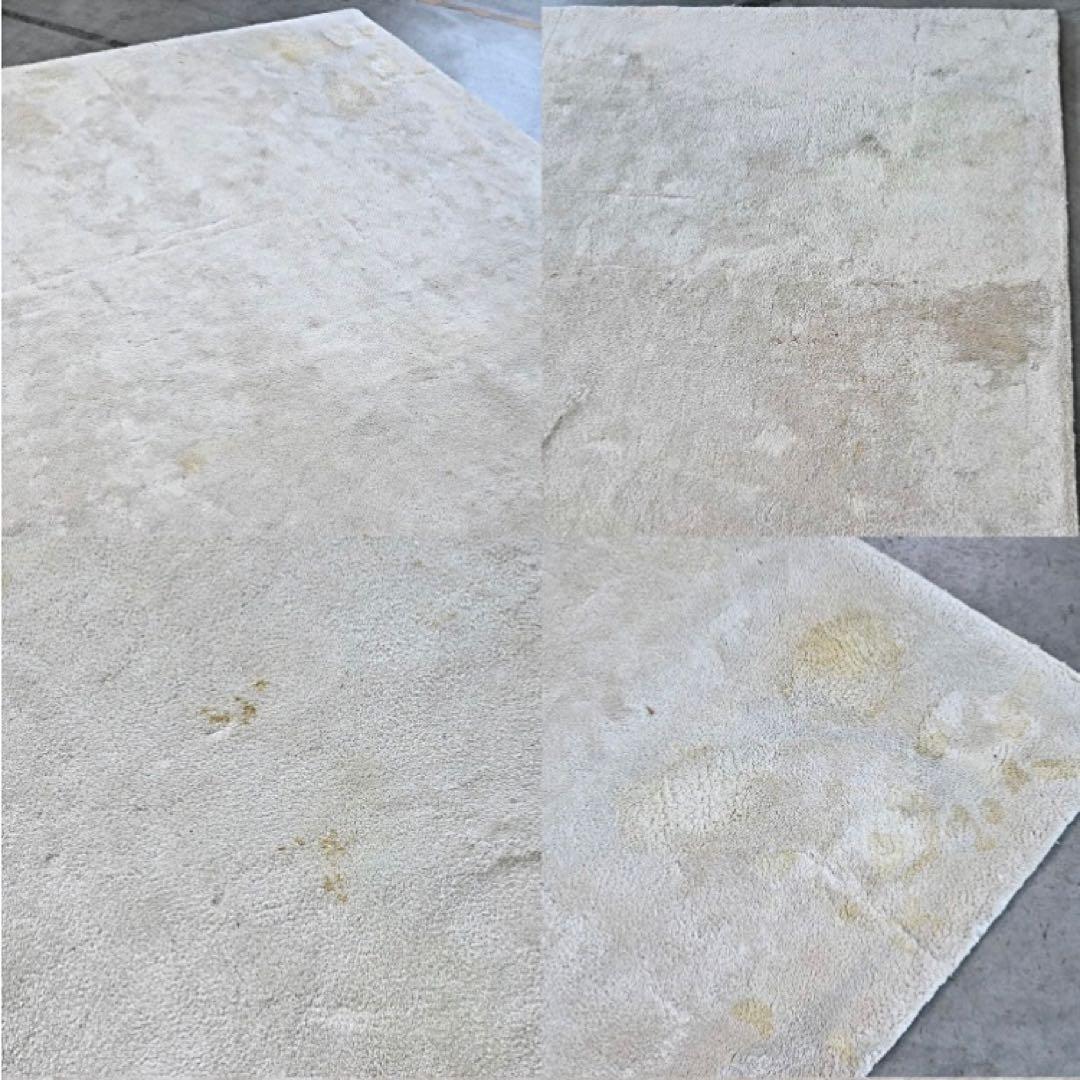 引取り限定Minotti 107万DIBBET ドルドーニ ラグ