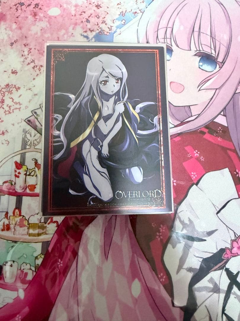 WS オーバーロード 宝扉デッキ スリーブ付き