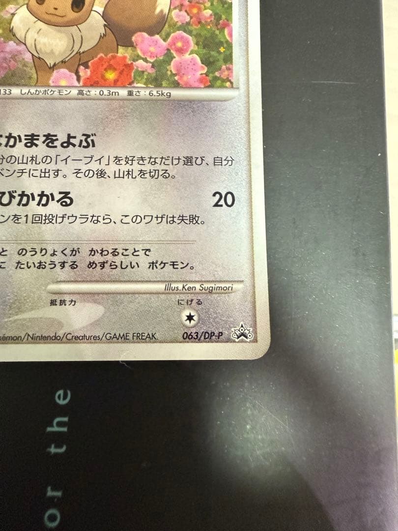ふ*ぅ様 ポケモンカード イーブイ2枚セット