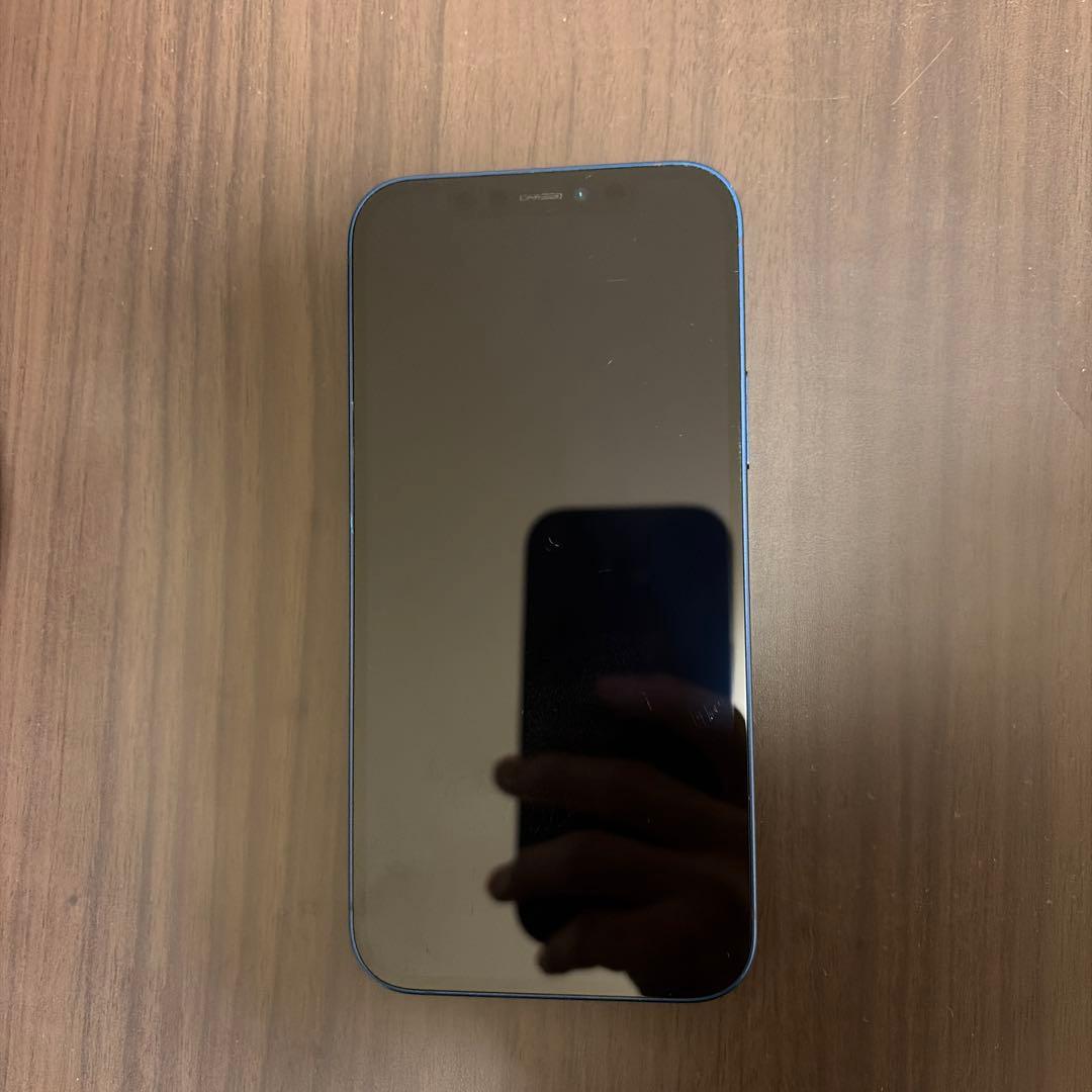 Apple iPhone 12 ブルー 本体と充電ケーブル