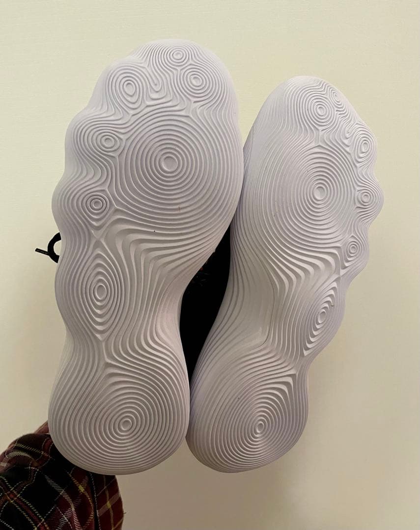 NIKE、ハイパーダンク 2017 LOW EP、25.5センチ