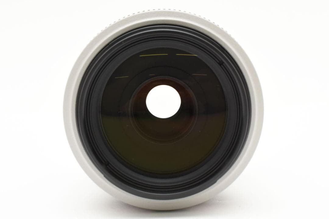 超美品 Canon EF 70-300 4-5.6L IS USM　フィルタ付