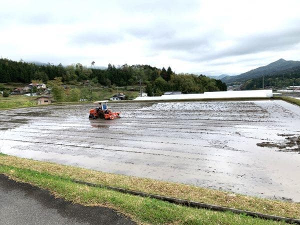 農家保有米 令和7年産 15キロ 玄米 コシヒカリ 15kg(5kg×3袋)新米